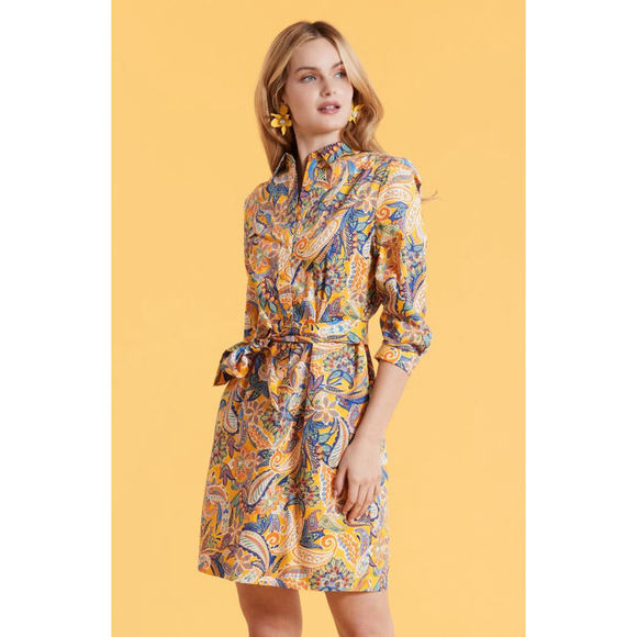 Tyler Boe Dresses & Skirts - Tyler Boe Ziva Paisley Belted Shirtdres Half Placket Classic Collar